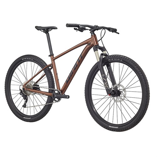 دوچرخه کوهستان جاینت 2022 - GIANT TALON 1
